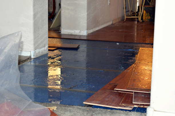 Professional Water Damage Repair technician working in Somerville, TX